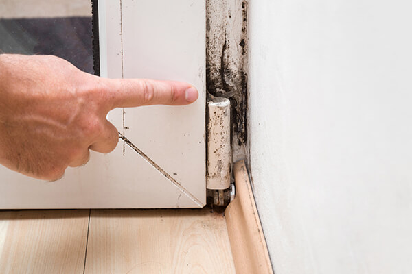 What You Should Know About Removing Mold From Your Home